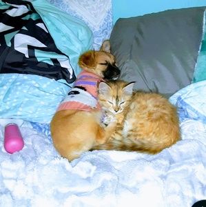 Meet your Posher, Mariah